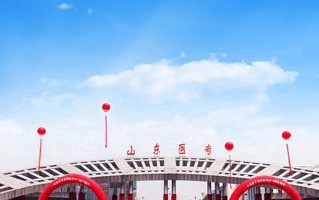 校友会公布：2025山东省高职院校最新排名榜单全览