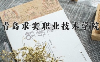 2025年青岛求实职业技术学院在新疆计划招生人数（附学费及专业录取分)