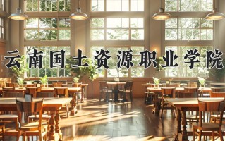 2025年云南国土资源职业学院在河南计划招生人数（附学费及专业录取分)