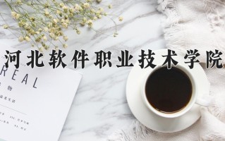 2024年河北软件职业技术学院录取分数线，河北最低374分