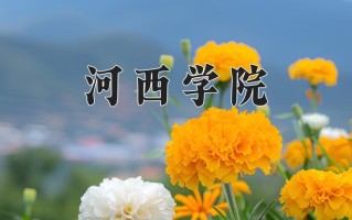 2025年河西学院在四川计划招生人数（附学费及专业录取分)