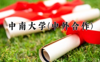 2025年中南大学(中外合作)在重庆计划招生人数（附学费及专业录取分)