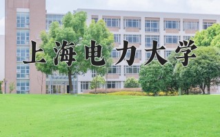 2025年上海电力大学在新疆计划招生人数（附学费及专业录取分)