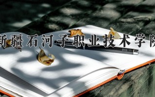 2025年新疆石河子职业技术学院在河南计划招生人数（附学费及专业录取分)