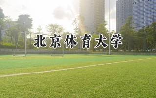 北京体育大学2024在江苏录取分数线是多少？最低527分/最高604分