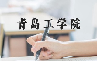 2025年青岛工学院在新疆计划招生人数（附学费及专业录取分)