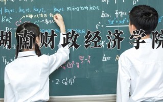 2025年湖南财政经济学院在四川计划招生人数（附学费及专业录取分)