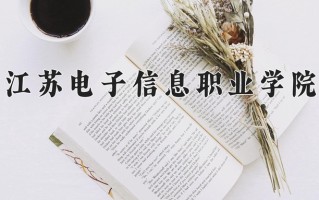 2025年江苏电子信息职业学院在河北计划招生人数（附学费及专业录取分)