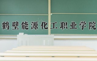 2025年鹤壁能源化工职业学院在四川计划招生人数（附学费及专业录取分)