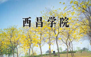 2025年西昌学院在河南计划招生人数（附学费及专业录取分)