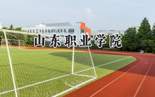 2024山东职业学院录取分数线：宁夏最低338分