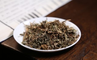 蒲公英的天生一对，开启健康新体验