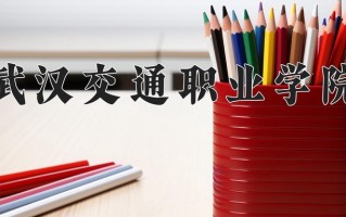 2025年武汉交通职业学院在河南计划招生人数（附学费及专业录取分)
