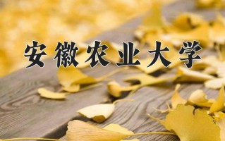 2025年安徽农业大学在河南计划招生人数（附学费及专业录取分)