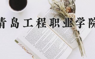 2025年青岛工程职业学院在四川计划招生人数（附学费及专业录取分)