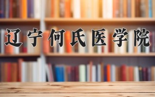 2025年辽宁何氏医学院在河南计划招生人数（附学费及专业录取分)