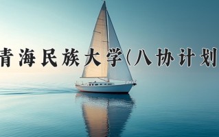 2025年青海民族大学(八协计划)在河北计划招生人数（附学费及专业录取分)
