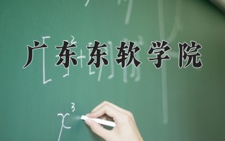 2025年广东东软学院在河南计划招生人数（附学费及专业录取分)
