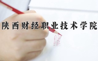 2025年陕西财经职业技术学院在新疆计划招生人数（附学费及专业录取分)