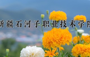 2025年新疆石河子职业技术学院在新疆计划招生人数（附学费及专业录取分)