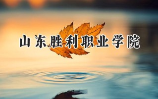 2024山东胜利职业学院录取分数线：江苏最低291分