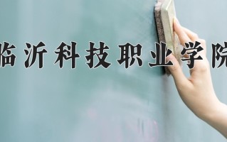 2025年临沂科技职业学院在河北计划招生人数（附学费及专业录取分)