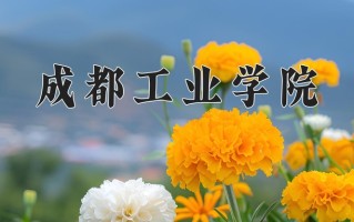 2025年成都工业学院在新疆计划招生人数（附学费及专业录取分)