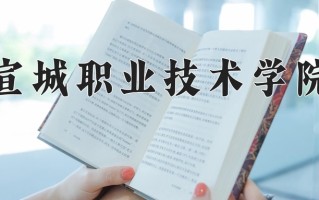 2025年宣城职业技术学院在河南计划招生人数（附学费及专业录取分)