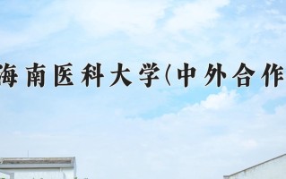 2025年海南医科大学(中外合作)在重庆计划招生人数（附学费及专业录取分)