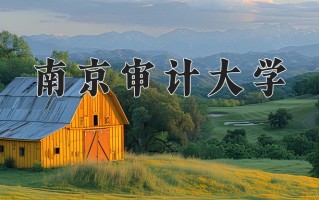 2025年南京审计大学在四川计划招生人数（附学费及专业录取分)