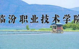 2025年临汾职业技术学院在河南计划招生人数（附学费及专业录取分)