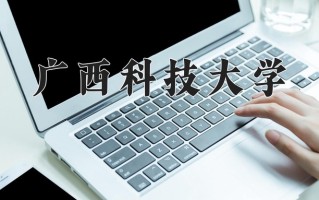 2024年广西科技大学录取分数线，内蒙古最低401分