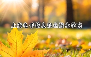 2024上海电子信息职业技术学院录取分数线：河南最低389分