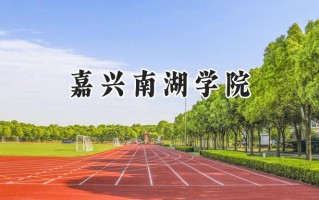 嘉兴南湖学院2024在山东录取分数线是多少？最低488分/最高523分