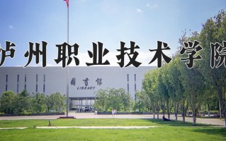 2025年泸州职业技术学院在四川计划招生人数（附学费及专业录取分)