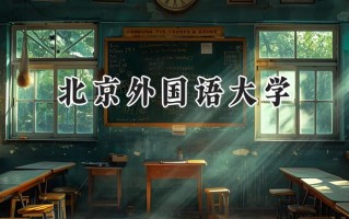 2024北京外国语大学录取分数线：宁夏最低475分