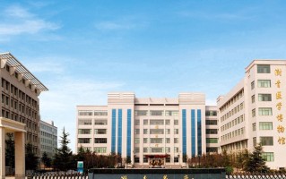 2024年郑州澍青医学高等专科学校录取分数线，内蒙古最低317分