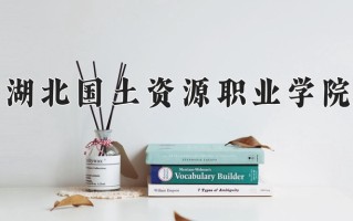 2025年湖北国土资源职业学院在新疆计划招生人数（附学费及专业录取分)