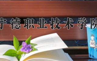 2025年宁德职业技术学院在四川计划招生人数（附学费及专业录取分)