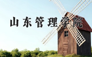 2025年山东管理学院在四川计划招生人数（附学费及专业录取分)