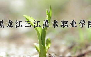 黑龙江三江美术职业学院学费多少钱一年：19800-21800元/年（2025填报参考）