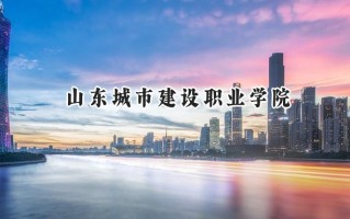山东城市建设职业学院2024在内蒙古录取分数线是多少？最低199分/最高291分