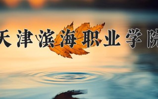 2025年天津滨海职业学院在新疆计划招生人数（附学费及专业录取分)