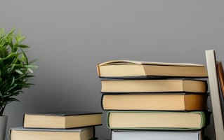 2025年山东工艺美术学院在广东计划招生人数（附学费及专业录取分）