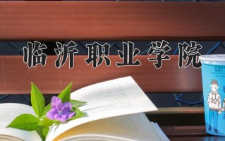 2025年临沂职业学院在河南计划招生人数（附学费及专业录取分)