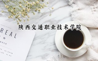 2024陕西交通职业技术学院录取分数线：河南最低385分