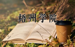 2025年梧州学院在四川计划招生人数（附学费及专业录取分)