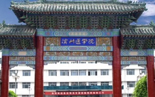 2024年滨州医学院在广东计划招生人数（附近三年各专业录取最低分）
