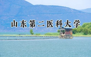 2024山东第二医科大学录取分数线：山西最低482分