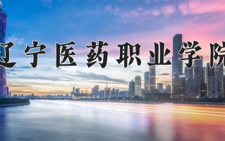 2025年辽宁医药职业学院在河南计划招生人数（附学费及专业录取分)
